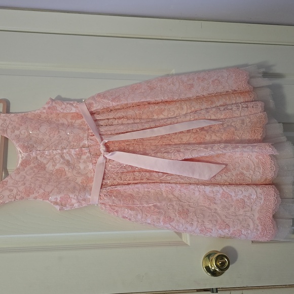 Elegant Pink Lace Kids Dress - Picture 6 of 7